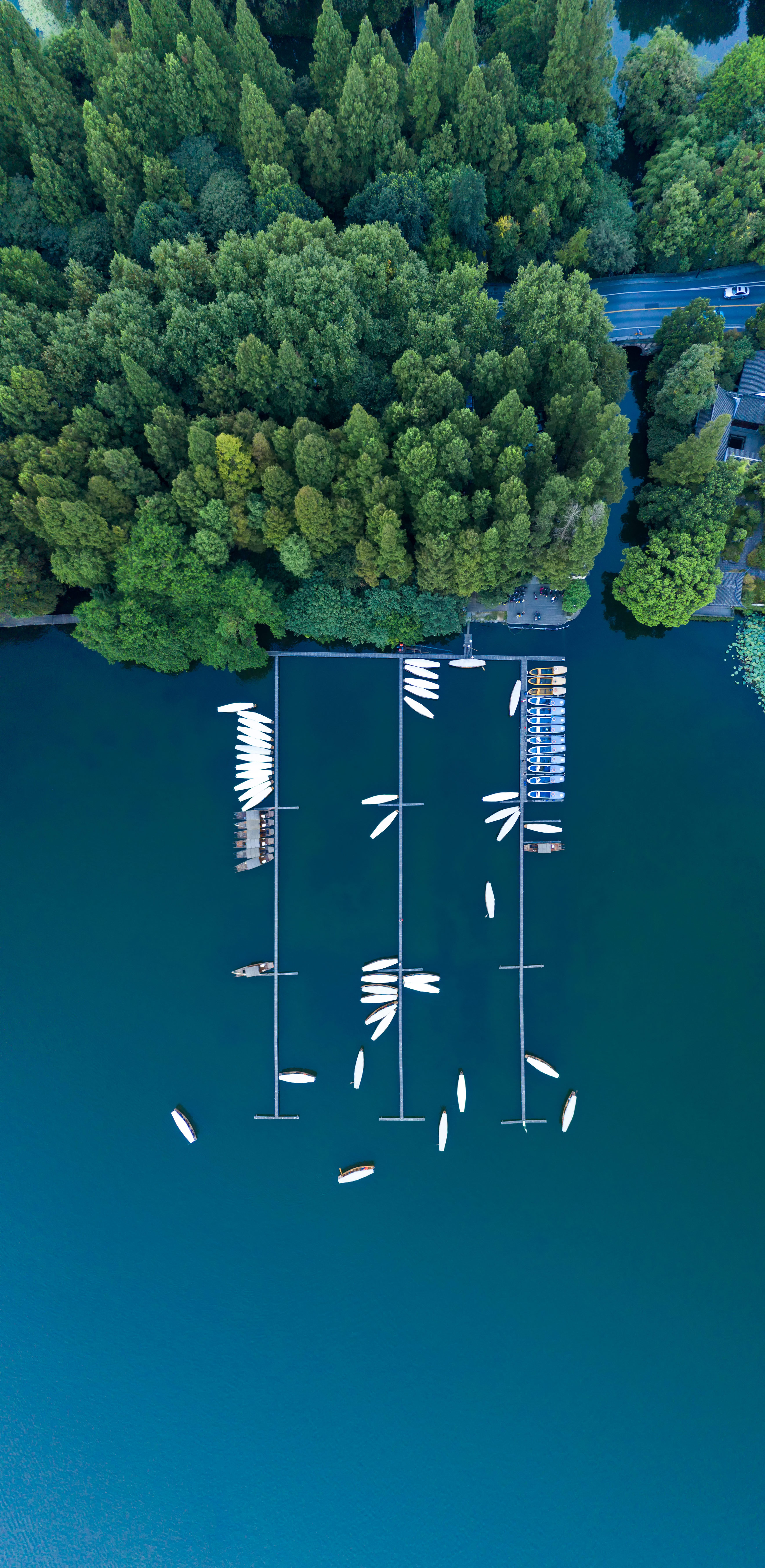 杨涛-西湖风韵1(工程).JPG 杨涛-西湖风韵1(工程).JPG