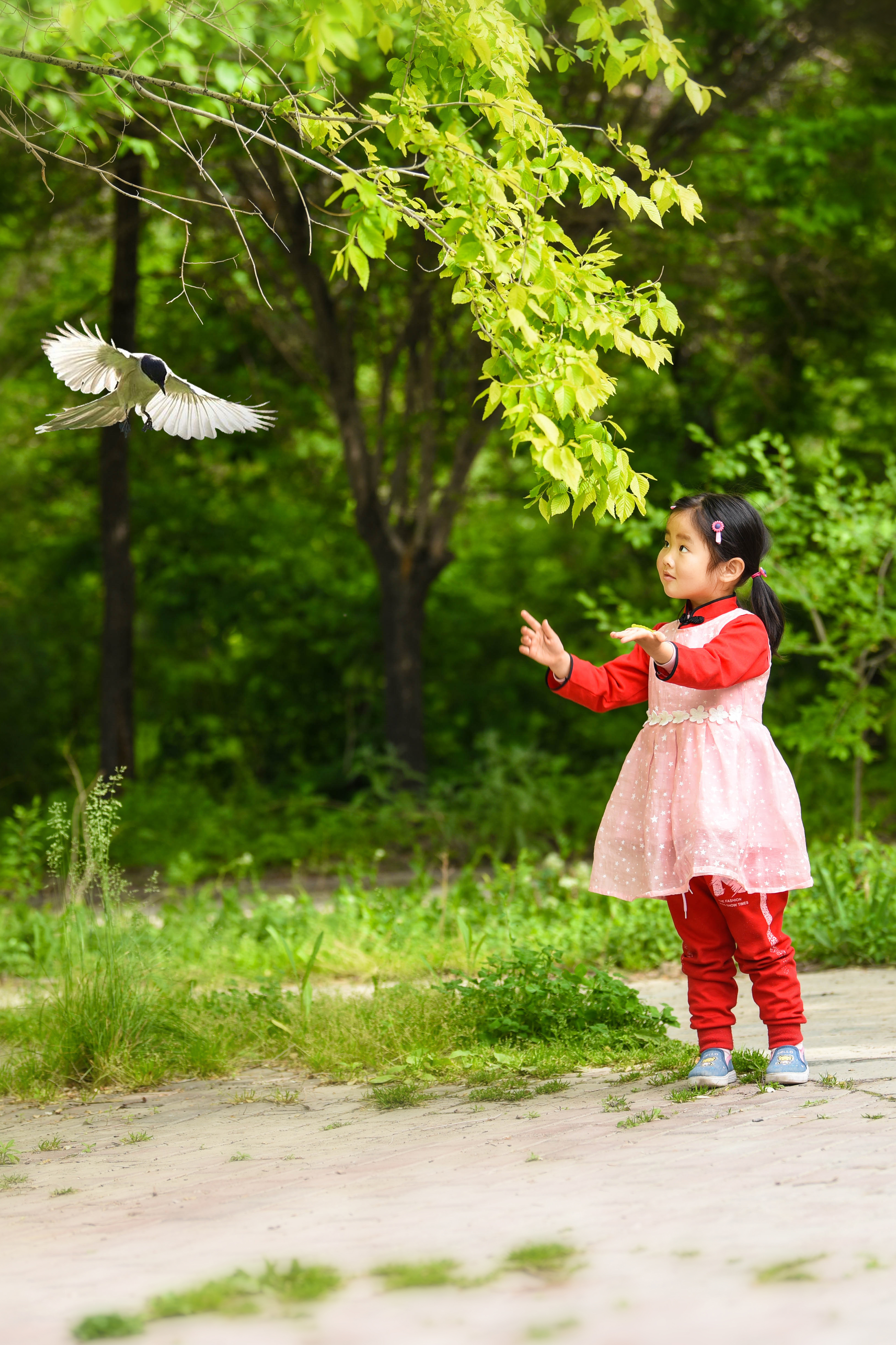 大格式《灵气》+拍摄地:新乌鲁木齐+拍摄时间:2019年5月.jpg 大格式《灵气》+拍摄地:新乌鲁木齐+拍摄时间:2019年5月.jpg